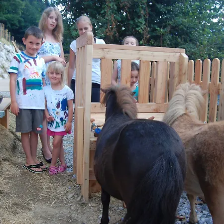 Hotel Superior Sport Und Familienresort Alpenblick Zell am See